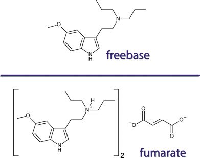 difference between freebase HCl fumarate