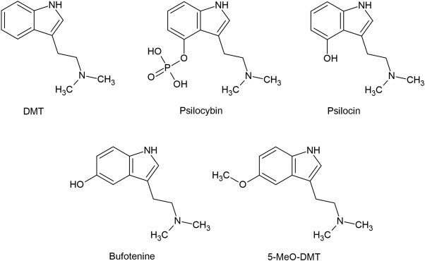 introduction to tryptamine chemistry